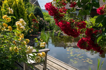 Obraz premium Rosenzauber