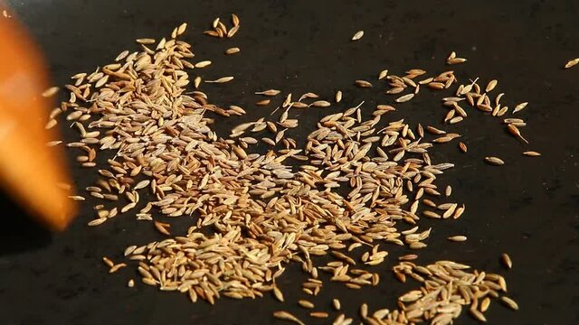 Frying caraway in pan, in door  Chiangmai Thailand