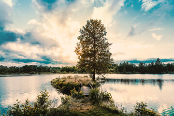 Baum und Bank an Schwedischem See im Abendrot w&auml;hrend des Sonnenuntergang. 