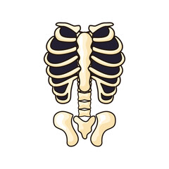 human skeleton icon isolated on white background. vector illustration