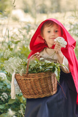Portrait of a girl in a fairy tale costume of a red cap with a basket 