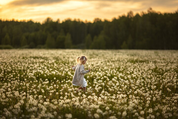 A little girl with light hair runs and jumps in a field of white fluffy dandelions, the sun is setting behind the forest. Image with selective focus.