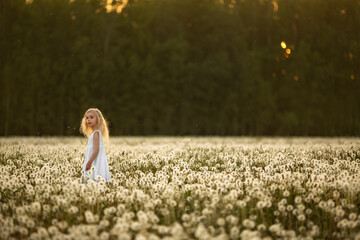 A little girl with blond hair in a white dress is walking in a field of dandelions. Image with...