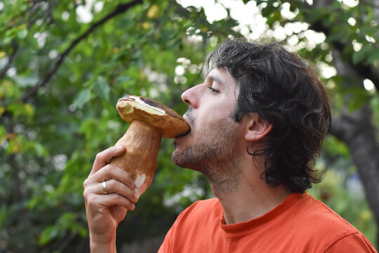 happy man pick up a big young Penny Bun mushroom. Man holding boletus mushroom. Porcini or king bolete