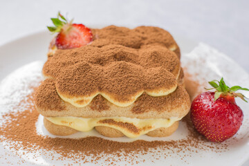 Closeup homemade tiramisu cake on a white plate. A tender Italian dessert.