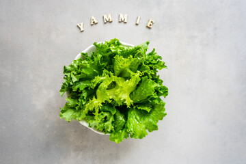 Frischer grüner Salat in einer Schüssel und den Text yummie in Holz Buchstaben auf einem grauen Tisch, Humor, gesunde Ernärhung, Diät, Draufsicht