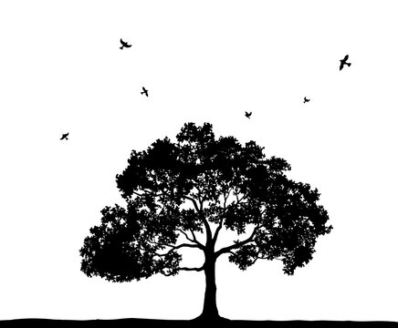 木と飛んでいる鳥のシルエット