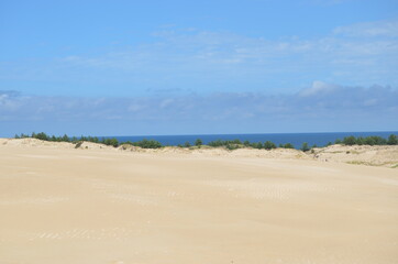 sand dunes, desert in Łeba