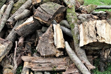 Drewno, Opał, Ognisko