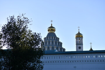 old buildings in the forest at sunrise