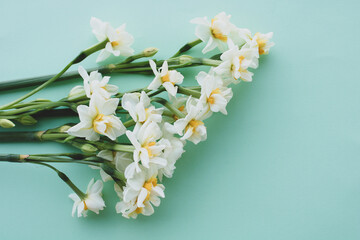 Bouquet white narcissus flowers on color background