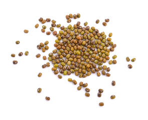 green bean seeds on a white background.