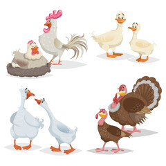 Cute cartoon farm birds set. Couple birds collection. Rooster and hen, ducks, geese and turkeys. Farm animals. Vector illustrations isolated on white background.