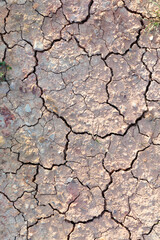 detail of cracked loam