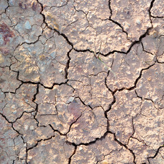 detail of cracked loam