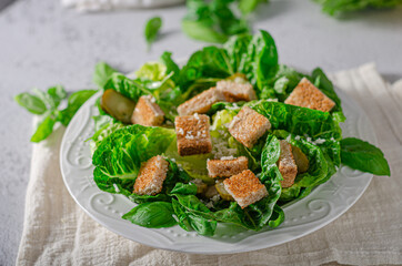 Fresh salad with croutons
