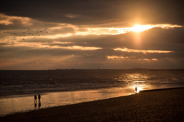 Golden sunset on the beach - 362149874