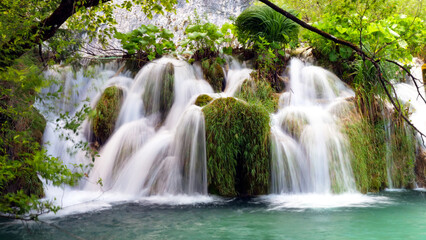 beautiful waterfall and green forest
