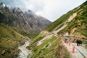 Fototapeta premium Beautiful view of green meadows and mountains at way to kedarnath, uttarakhand, india.