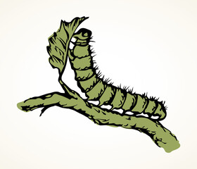 The caterpillar eats a leaf. Vector drawing