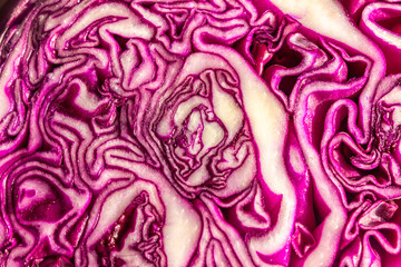 Obraz premium Red cabbage close-up. Vegetable background. Sectional cabbage. Diet.
