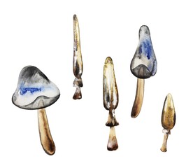Fantasy poisonous hallucinogenic mushrooms hand drawn watercolor set. Isolated on a white background.