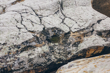 Stones texture and background. Rock texture with different color spots of lichen