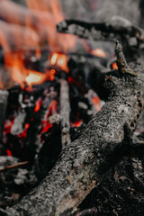 coal fire in a fire
