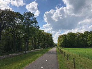 Road from around Ommen