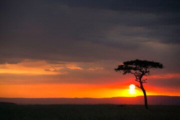 Fototapeta na wymiar Dramatic Sunset at Masai Mara, Kenya