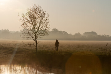 Obraz na płótnie Canvas Lone Morning Walker in Mist at Sunrise