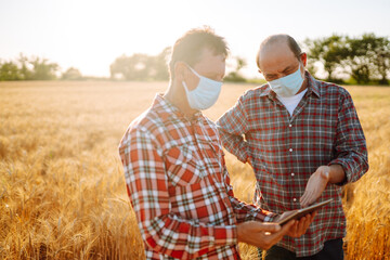 Farmers in sterile medical masks discuss agricultural issues on a wheat field. Farmers with tablet in the field. Smart farm. Agro business. Covid-19.