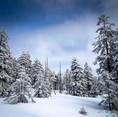 Snowy Brocken mountain in Germany