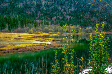 Reflejos del invierno