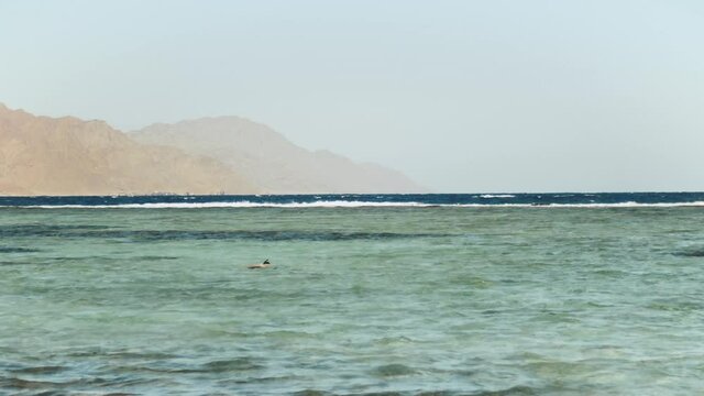 Man snorkeling in red sea, Beautiful landscape of blue sea and clear sky, waves in the sea and mountains on horizon Egypt, Dahab, full hd