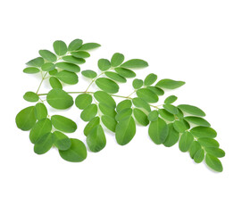 Fototapeta na wymiar Moringa leaves have medicinal properties. top view