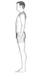 Naklejka premium 3d rendered illustration of the male body