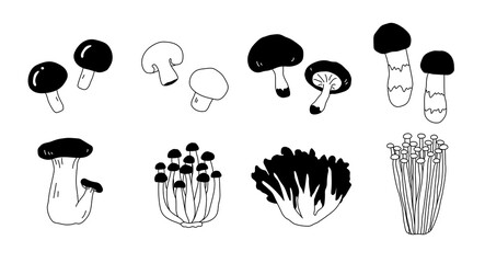 手書きのきのこのイラスト 秋の味覚 松茸 椎茸 Wall Mural Yugoro 手書きのきのこのイラスト 秋の味覚 松茸 椎茸 Wall Mural Yugoro