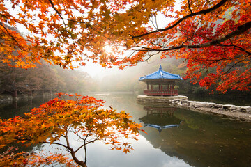 a lake stained with maple leaves