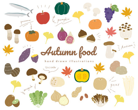 102 3 件の最適な 秋の味覚 画像 ストック写真 ベクター Adobe Stock