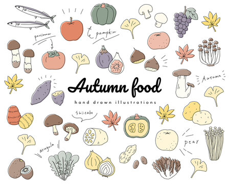 秋の味覚の手書きのイラストのセット 食欲の秋 シンプル おしゃれ Vector De Stock Adobe Stock