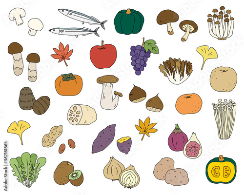 秋の味覚の手書きのイラストのセット 食欲の秋 シンプル おしゃれ Wall Mural Yugoro 秋の味覚の手書きのイラストのセット 食欲の秋 シンプル おしゃれ Wall Mural Yugoro