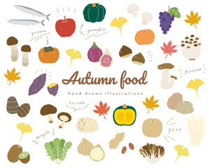 秋の味覚の手書きのイラストのセット／食欲の秋／シンプル／おしゃれ