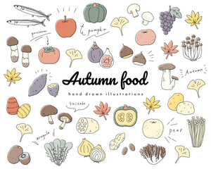 秋の味覚の手書きのイラストのセット／食欲の秋／シンプル／おしゃれ