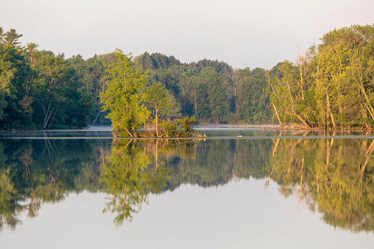 Sunny Morning On A Silver Lake In Wisconsin