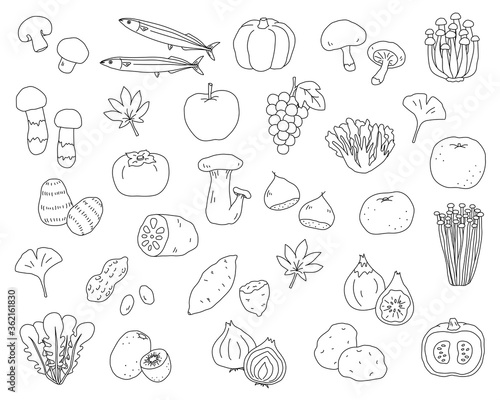 秋の味覚の手書きのイラストのセット 食欲の秋 シンプル おしゃれ Apple Wall Mural App Yugoro