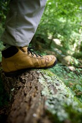 Chaussure pied marche - Forêt humide randonnée nature sport trek promenade balade - voyage tourisme 