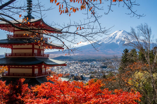 Famous autumn view of Mount Fuji with traditional red Chureito Pagoda and colorful japanese maple leaves, Japan