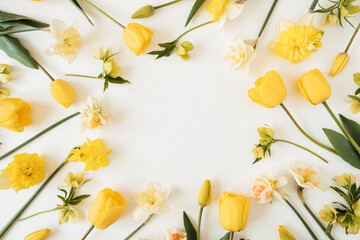 Round frame wreath with blank copy space made of yellow narcissus and tulip flowers on white background. Flat lay, top view floral festive holiday concept