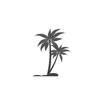 Palm tree summer logo template